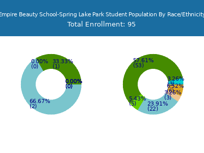 Empire Beauty School-Spring Lake Park 2025 Student Population by Gender and Race chart