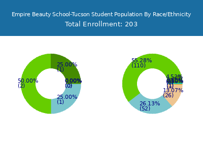 Empire Beauty School-Tucson 2025 Student Population by Gender and Race chart