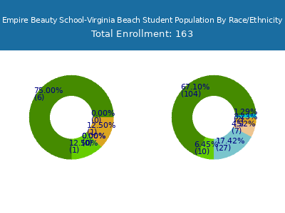 Empire Beauty School-Virginia Beach 2025 Student Population by Gender and Race chart