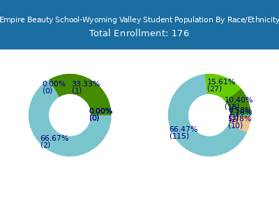 Empire Beauty School-Wyoming Valley 2025 Student Population by Gender and Race chart