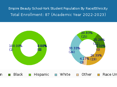 Empire Beauty School-York 2023 Student Population by Gender and Race chart