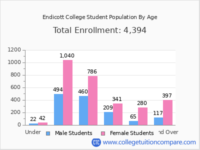 Endicott College 2024 Student Population by Age chart
