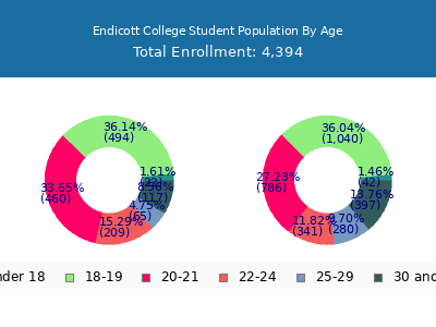 Endicott College 2024 Student Population Age Diversity Pie chart