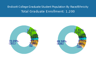 Endicott College 2025 Graduate Enrollment by Gender and Race chart