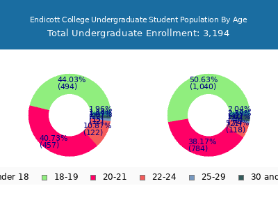 Endicott College 2024 Undergraduate Enrollment Age Diversity Pie chart