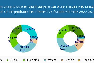 Epic Bible College & Graduate School 2023 Undergraduate Enrollment by Gender and Race chart