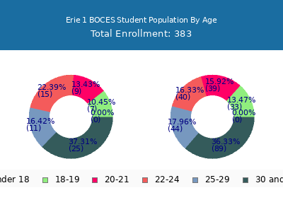 Erie 1 BOCES 2024 Student Population Age Diversity Pie chart