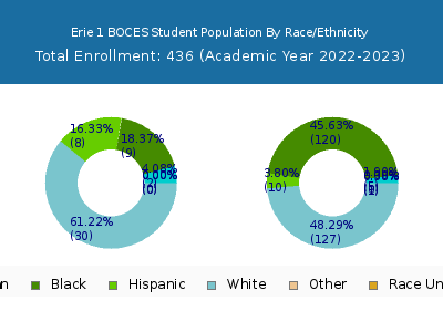 Erie 1 BOCES 2023 Student Population by Gender and Race chart
