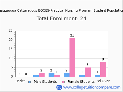 Erie 2 Chautauqua Cattaraugus BOCES-Practical Nursing Program 2024 Student Population by Age chart