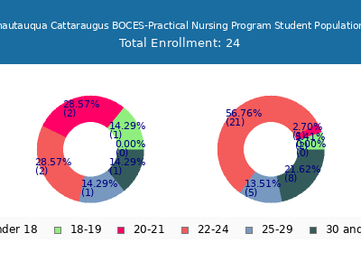 Erie 2 Chautauqua Cattaraugus BOCES-Practical Nursing Program 2024 Student Population Age Diversity Pie chart