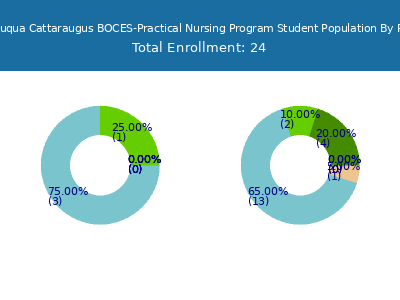 Erie 2 Chautauqua Cattaraugus BOCES-Practical Nursing Program 2025 Student Population by Gender and Race chart