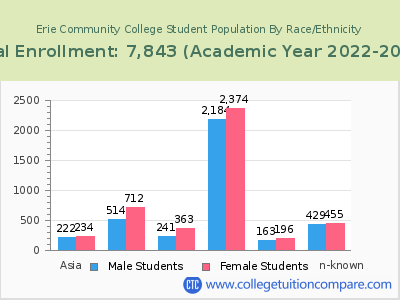 Erie Community College 2023 Student Population by Gender and Race chart