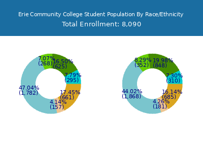 Erie Community College 2025 Student Population by Gender and Race chart