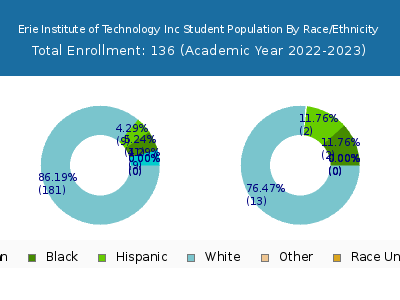 Erie Institute of Technology Inc 2023 Student Population by Gender and Race chart