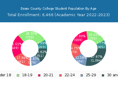 Essex County College 2023 Student Population Age Diversity Pie chart