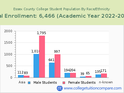 Essex County College 2023 Student Population by Gender and Race chart