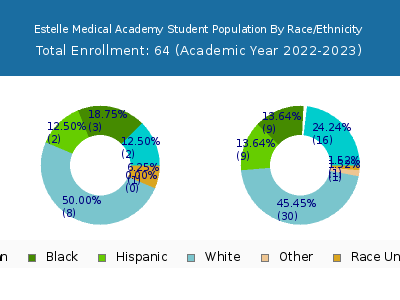 Estelle Medical Academy 2023 Student Population by Gender and Race chart