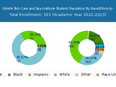Estelle Skin Care and Spa Institute 2023 Student Population by Gender and Race chart