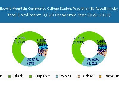 Estrella Mountain Community College 2023 Student Population by Gender and Race chart