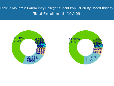 Estrella Mountain Community College 2025 Student Population by Gender and Race chart