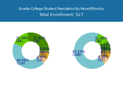 Eureka College 2025 Student Population by Gender and Race chart