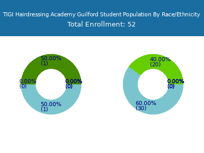 TIGI Hairdressing Academy Guilford 2025 Student Population by Gender and Race chart
