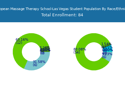 European Massage Therapy School-Las Vegas 2025 Student Population by Gender and Race chart