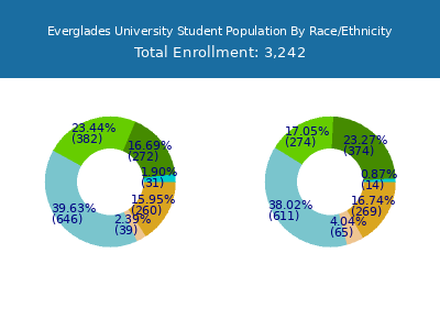 Everglades University 2025 Student Population by Gender and Race chart