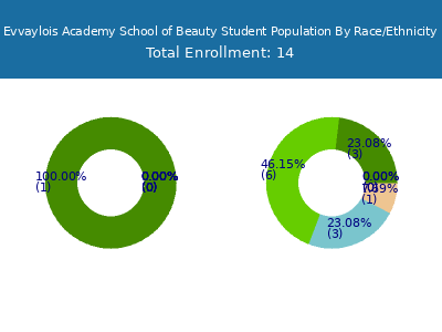 Evvaylois Academy School of Beauty 2025 Student Population by Gender and Race chart