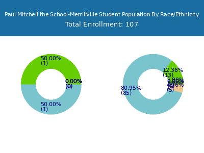 Paul Mitchell the School-Merrillville 2025 Student Population by Gender and Race chart