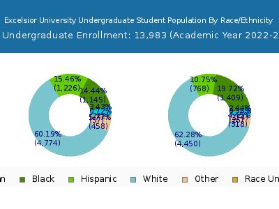 Excelsior University 2023 Undergraduate Enrollment by Gender and Race chart