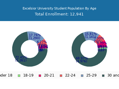 Excelsior University 2024 Student Population Age Diversity Pie chart