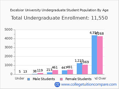 Excelsior University 2024 Undergraduate Enrollment by Age chart