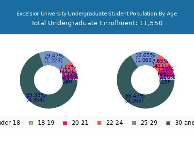 Excelsior University 2024 Undergraduate Enrollment Age Diversity Pie chart