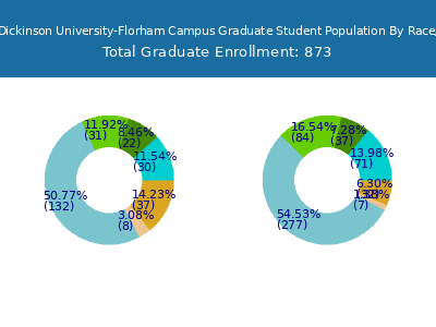 Fairleigh Dickinson University-Florham Campus 2025 Graduate Enrollment by Gender and Race chart