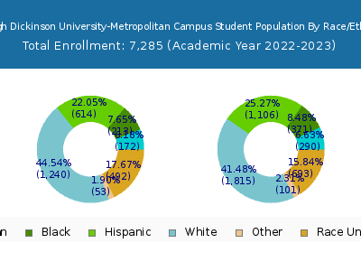 Fairleigh Dickinson University-Metropolitan Campus 2023 Student Population by Gender and Race chart