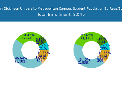 Fairleigh Dickinson University-Metropolitan Campus 2025 Student Population by Gender and Race chart