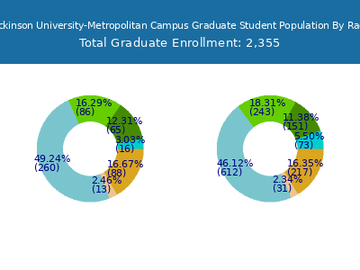 Fairleigh Dickinson University-Metropolitan Campus 2025 Graduate Enrollment by Gender and Race chart