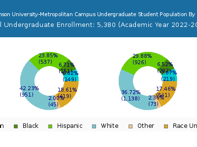 Fairleigh Dickinson University-Metropolitan Campus 2023 Undergraduate Enrollment by Gender and Race chart