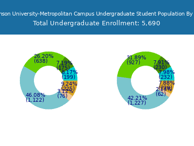 Fairleigh Dickinson University-Metropolitan Campus 2025 Undergraduate Enrollment by Gender and Race chart
