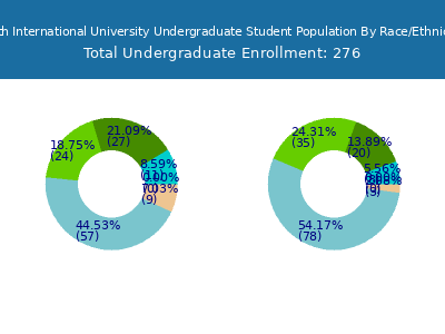 Faith International University 2025 Undergraduate Enrollment by Gender and Race chart