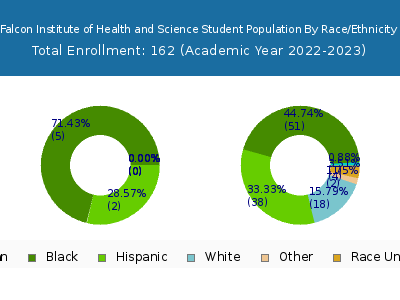 Falcon Institute of Health and Science 2023 Student Population by Gender and Race chart