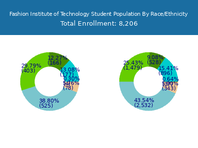 Fashion Institute of Technology 2025 Student Population by Gender and Race chart