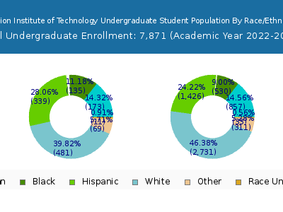 Fashion Institute of Technology 2023 Undergraduate Enrollment by Gender and Race chart