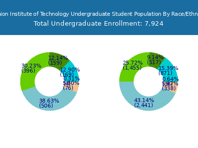 Fashion Institute of Technology 2025 Undergraduate Enrollment by Gender and Race chart