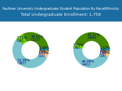 Faulkner University 2025 Undergraduate Enrollment by Gender and Race chart