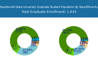 Fayetteville State University 2025 Graduate Enrollment by Gender and Race chart