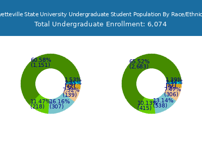 Fayetteville State University 2025 Undergraduate Enrollment by Gender and Race chart
