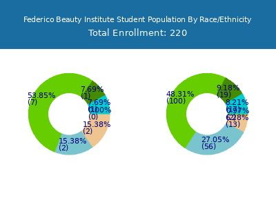 Federico Beauty Institute 2025 Student Population by Gender and Race chart