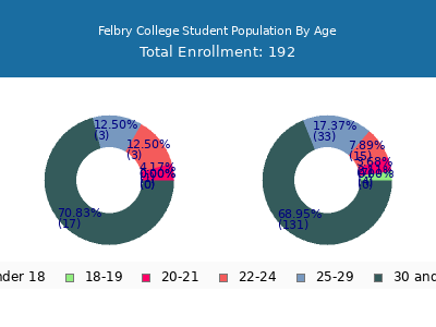 Felbry College 2024 Student Population Age Diversity Pie chart